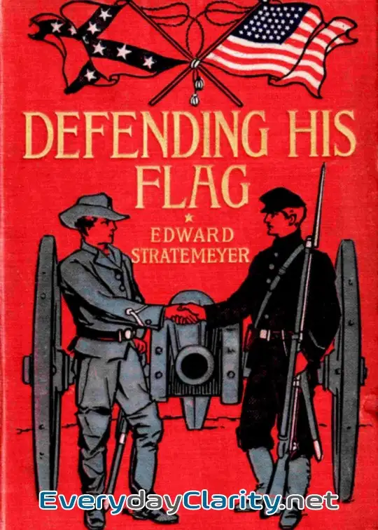 Book cover: Defending His Flag
