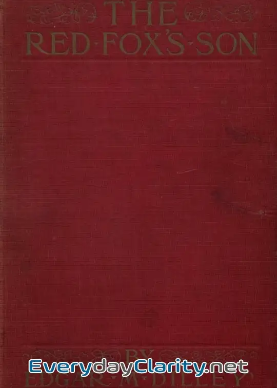 Book cover: The Red Fox’S Son. A Romance Of Bharbazonia