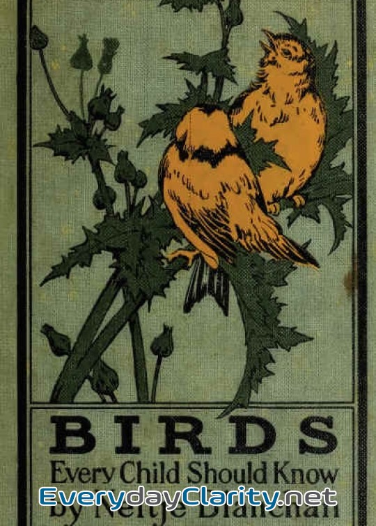 Book cover: Birds Every Child Should Know