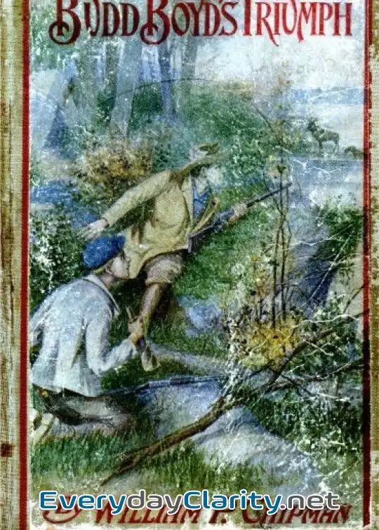 Book cover: Budd Boyd’S Triumph; Or, The Boy-Firm Of Fox Island