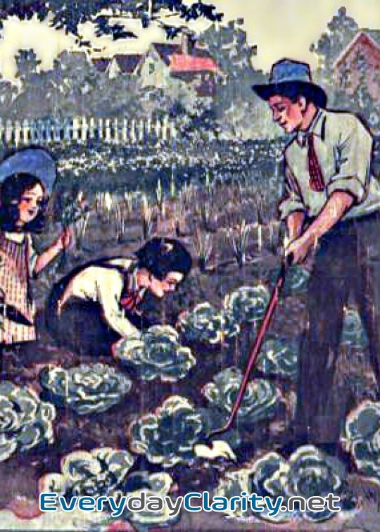 Book cover: Daddy Takes Us To The Garden . The Daddy Series For Little Folks