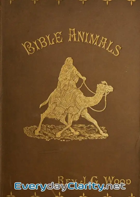 Book cover: Bible Animals