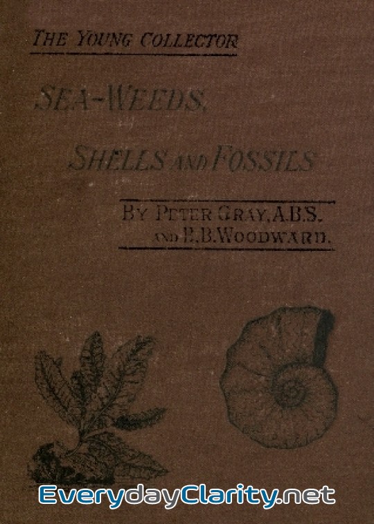 Book cover: Sea-Weeds, Shells And Fossils