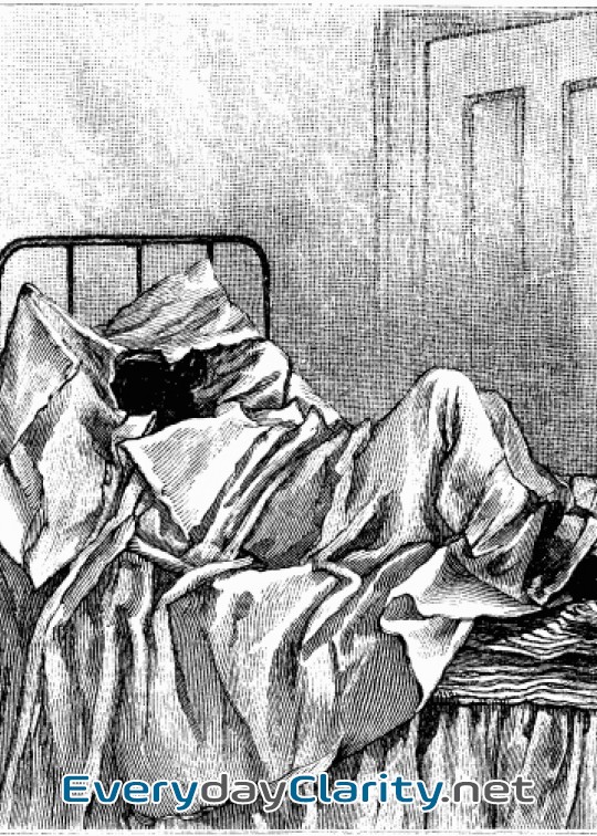 Book cover: St. Nicholas Magazine For Boys And Girls, Vol. 5, July 1878, No. 9