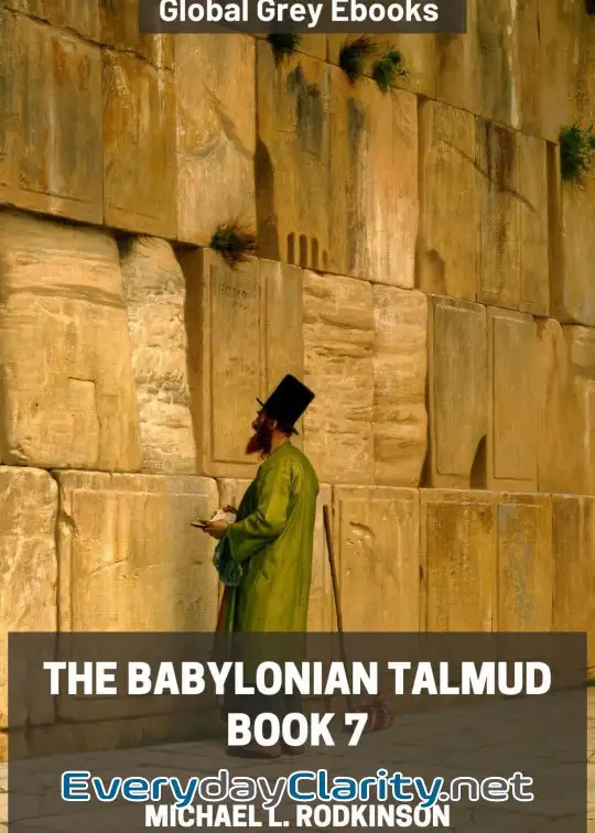 Book cover: The Babylonian Talmud, Book 7