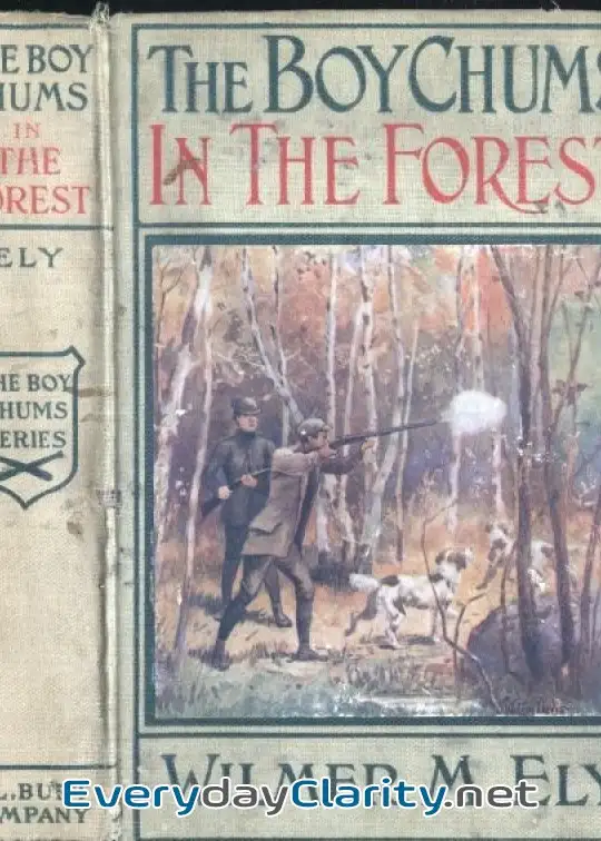 Book cover: The Boy Chums In The Forest; Or, Hunting For Plume Birds In The Florida Everglades
