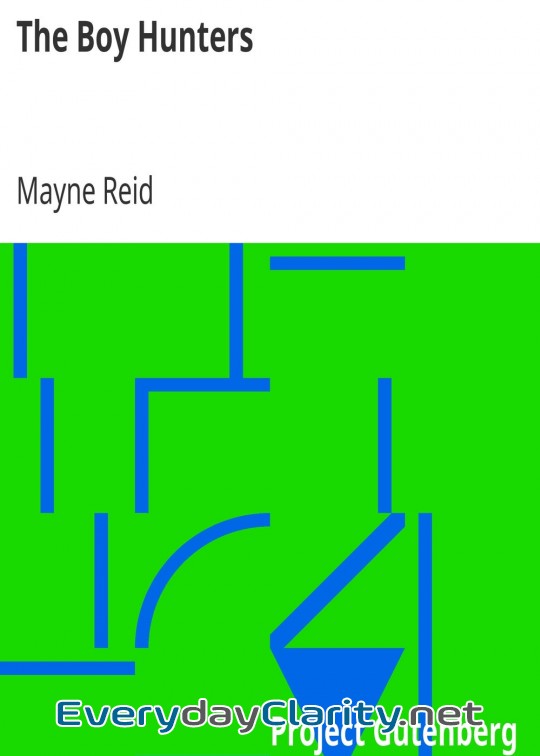 Book cover: The Boy Hunters