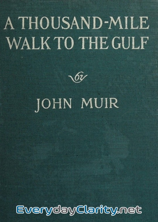 Book cover: A Thousand-Mile Walk To The Gulf