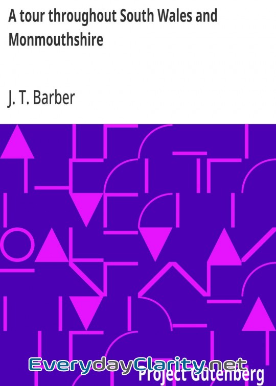 Book cover: A Tour Throughout South Wales And Monmouthshire