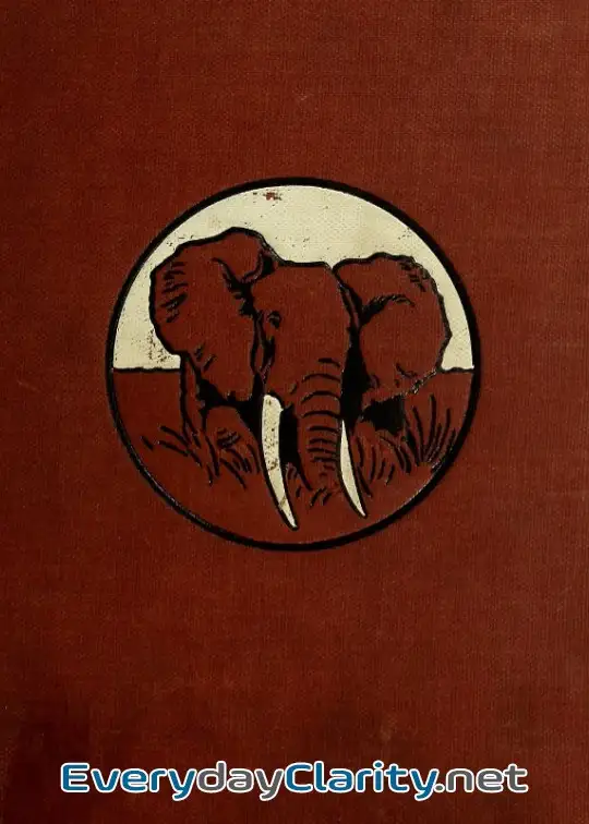 Book cover: In Wildest Africa, Vol. 2
