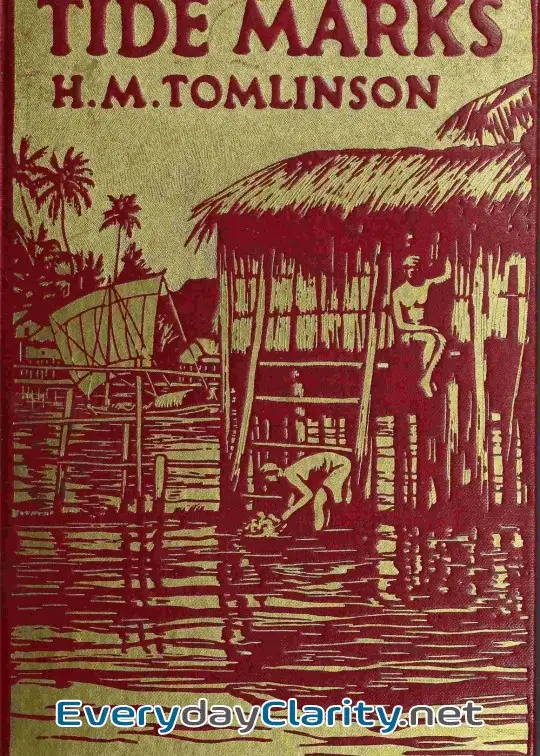 Book cover: Tide Marks
