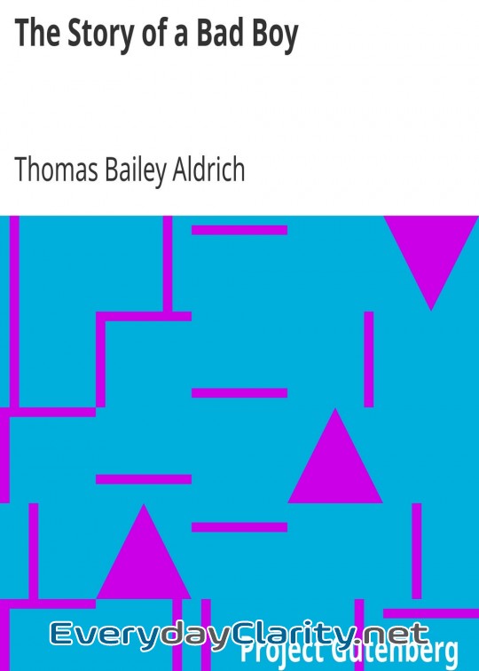 Book cover: The Story Of A Bad Boy