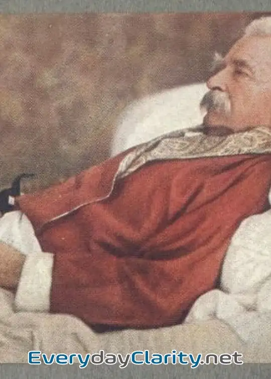 Book cover: Mark Twain