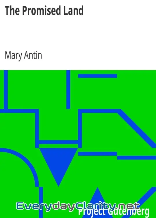 Book cover: The Promised Land