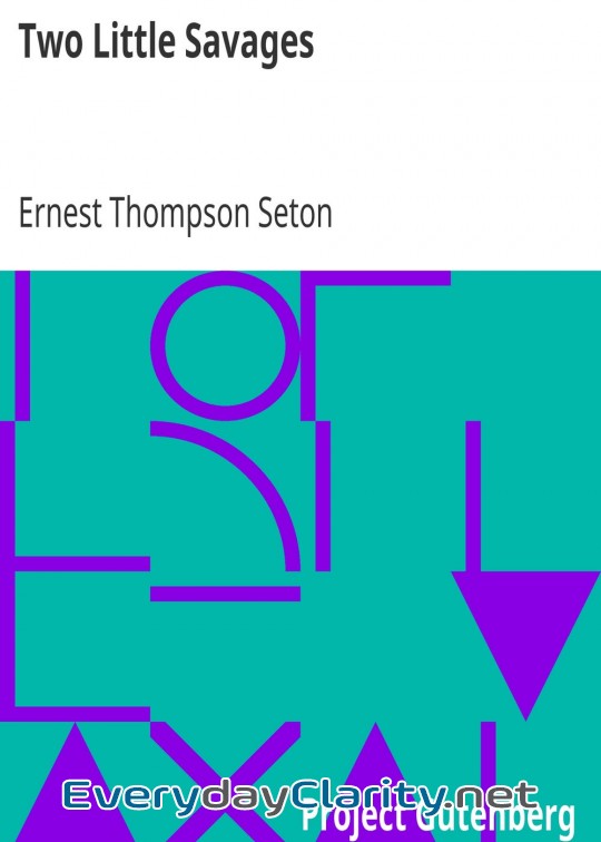 Book cover: Two Little Savages . Being The Adventures Of Two Boys Who Lived As Indians And What They L