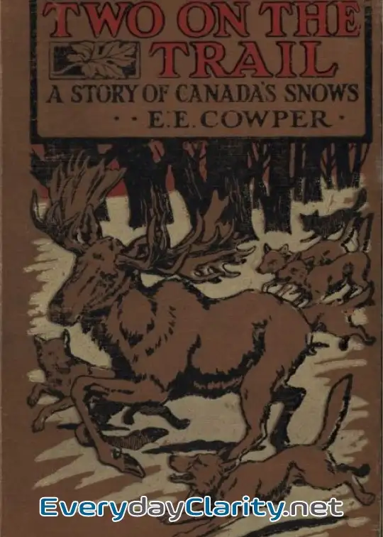 Book cover: Two On The Trail. A Story Of Canada Snows