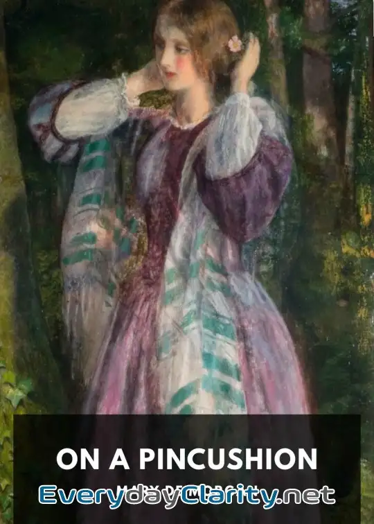 Book cover: On A Pincushion