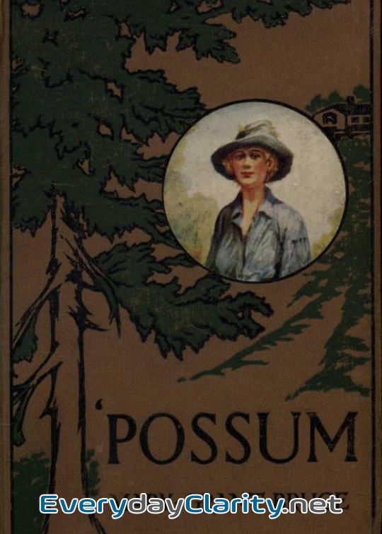 Book cover: ‘Possum