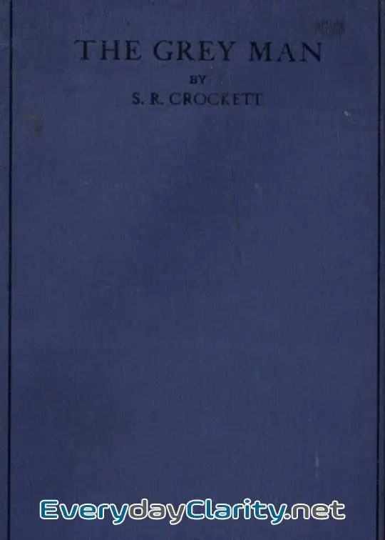 Book cover: The Grey Man