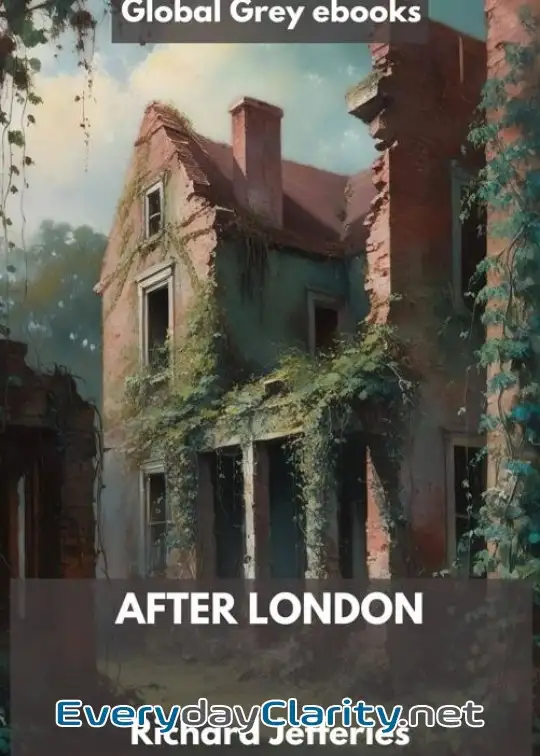 Book cover: After London