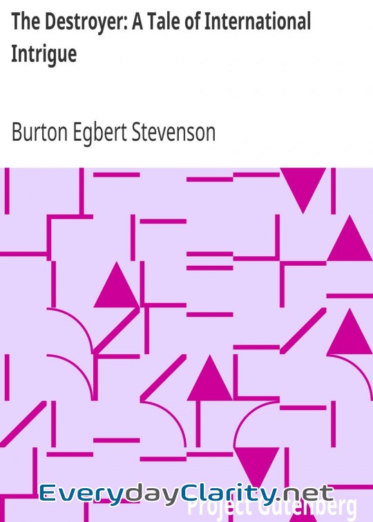 Book cover: The Destroyer. A Tale Of International Intrigue