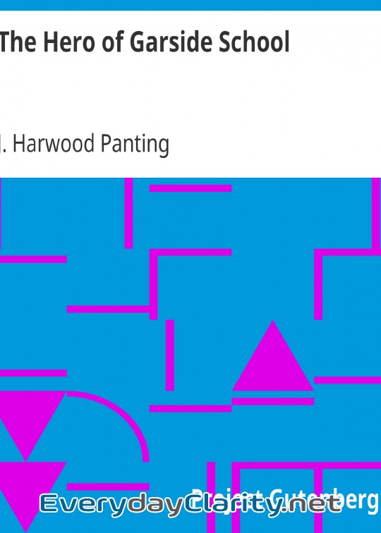 Book cover: The Hero Of Garside School