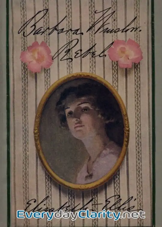 Book cover: Barbara Winslow, Rebel