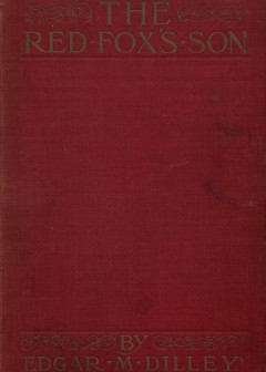 Ảnh The Red Fox’S Son. A Romance Of Bharbazonia