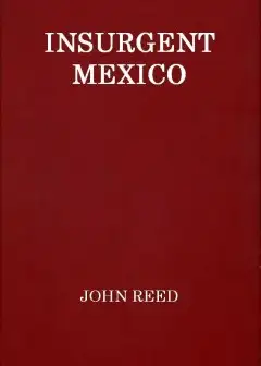 Insurgent Mexico