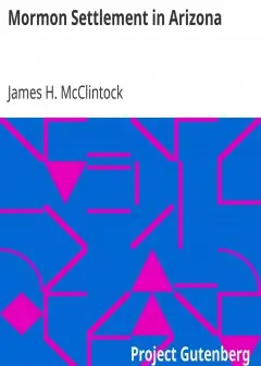 Mormon Settlement In Arizona . A Record Of Peaceful Conquest Of The Desert
