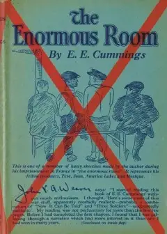 The Enormous Room