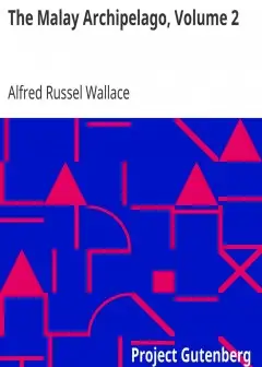 The Malay Archipelago, Volume 2 . The Land Of The Orang-Utan And The Bird Of Paradise; A N