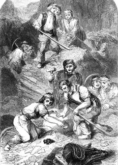 The Romance Of Natural History, Second Series