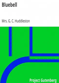 Bluebell . A Novel