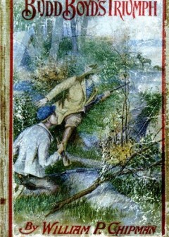 Budd Boyd’S Triumph; Or, The Boy-Firm Of Fox Island