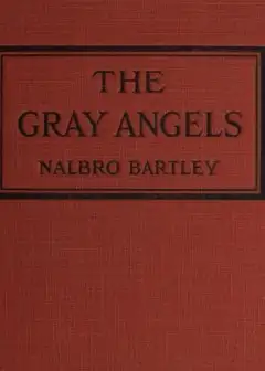 The Gray Angels