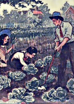 Daddy Takes Us To The Garden . The Daddy Series For Little Folks