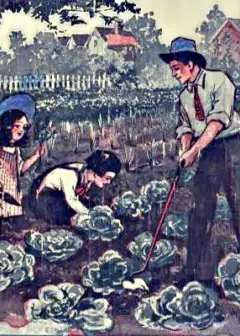 Daddy Takes Us To The Garden . The Daddy Series For Little Folks