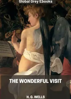 The Wonderful Visit