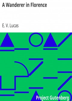 A Wanderer In Florence