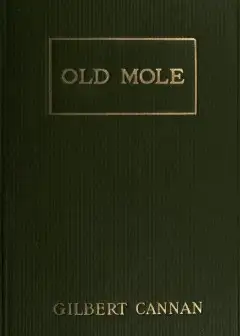 Old Mole . Being The Surprising Adventures In England Of Herbert Jocelyn Beenham, M.a., So