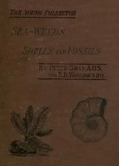 Sea-Weeds, Shells And Fossils
