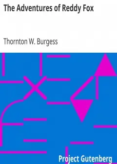 The Adventures Of Reddy Fox