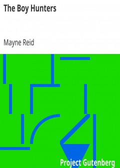 The Boy Hunters