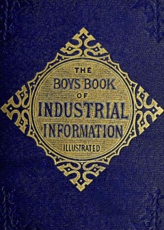 The Boy’S Book Of Industrial Information