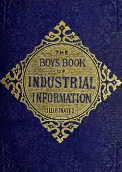 The Boy’S Book Of Industrial Information