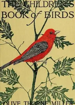 The Children’S Book Of Birds