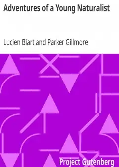 Adventures Of A Young Naturalist