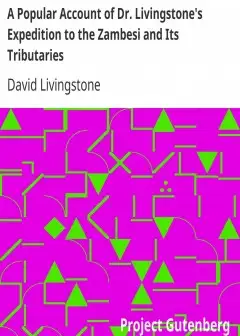 A Popular Account Of Dr. Livingstone’s Expedition To The Zambesi And Its Tributaries . And