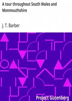 A Tour Throughout South Wales And Monmouthshire